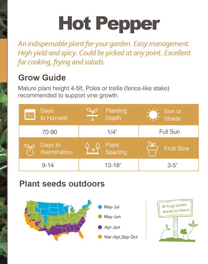 Jalapeno Pepper Seeds 150+ Non-GMO Hot Pepper Mexican Garden