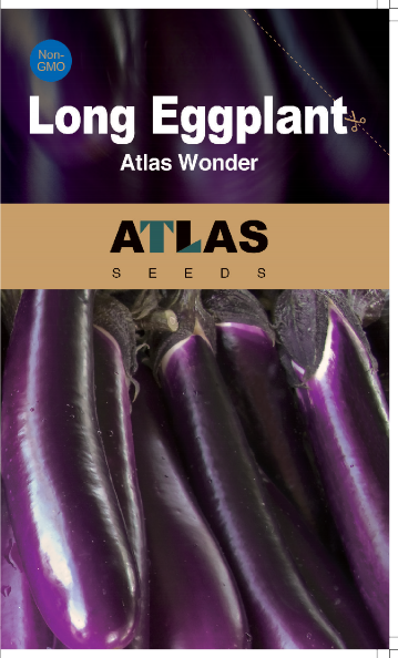 Midnight Velvet Long Eggplant Seeds Non-GMO Asian High Yield