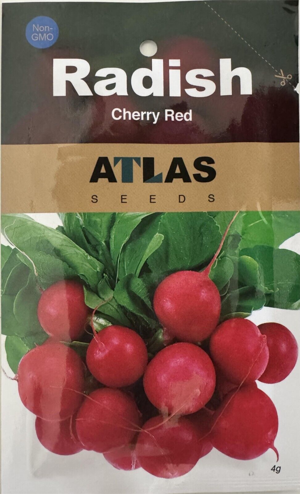 Ruby Crunch Radish Seeds Non-GMO Fast Growing Crisp Sweet