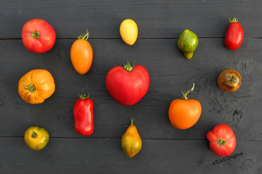 Tomato Growing Guide: Complete Cultivation & Pest Management for Home Gardener