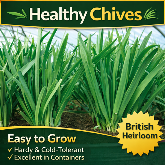 Chives Growing Guide for Home Gardeners (Pest & Disease Focus)