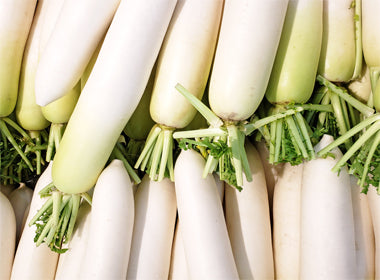 White Radish (Daikon) Seeds