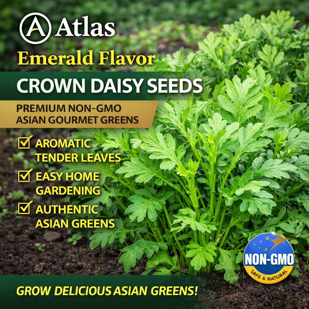 Crown Daisy Seeds  Non-GMO Asian Greens Edible Salad Garden