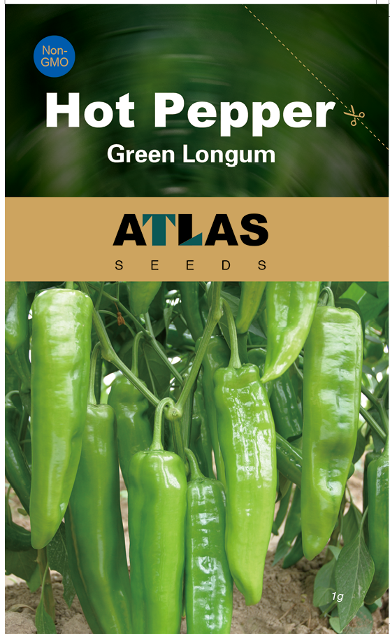 Long Chili Pepper Seeds 100+ Non-GMO Hot Pepper High Yield Garden