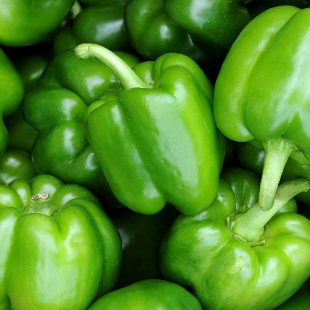 Giant Red Bell Pepper Seeds 50+ Non-GMO Sweet High Yield Easy Grow