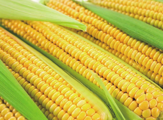 128 Sweet Corn Seeds