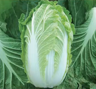 1000+ Asian Kitchen Garden Seeds Pack Non-GMO Pak Choi Chives Mix