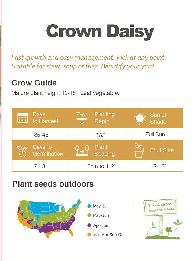 Crown Daisy Seeds  Non-GMO Asian Greens Edible Salad Garden