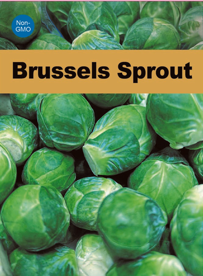 Brussels Sprout Seeds 100+ Non-GMO Emerald Crown Superfood Garden
