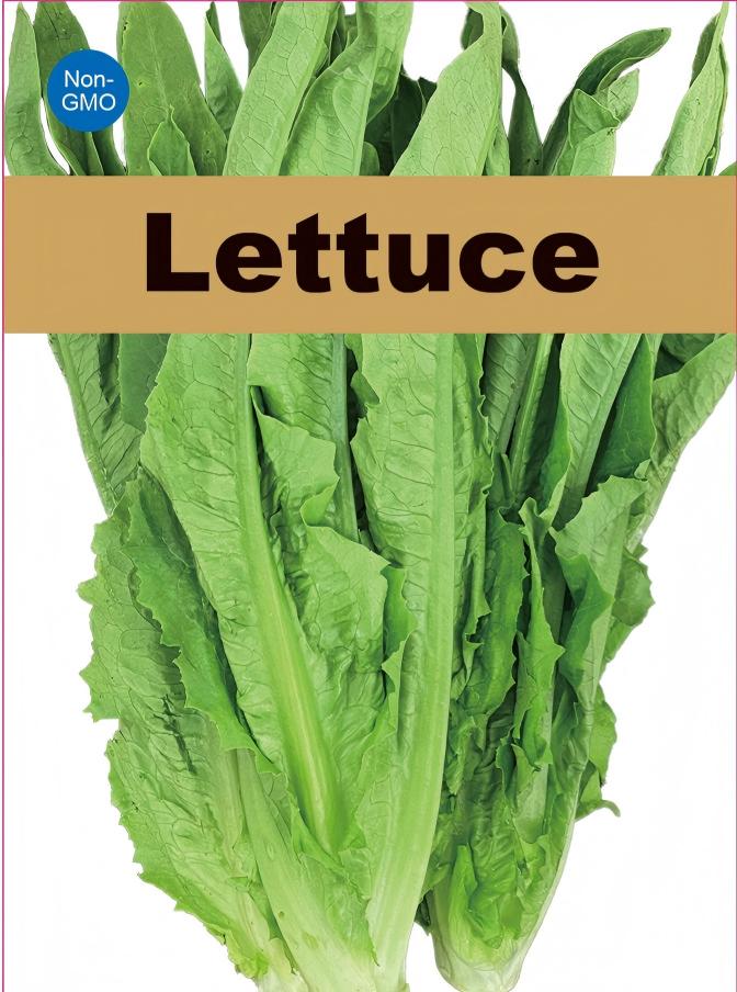 CrispGarden Lettuce Seeds 800+ Non-GMO Fresh Garden Salad Greens