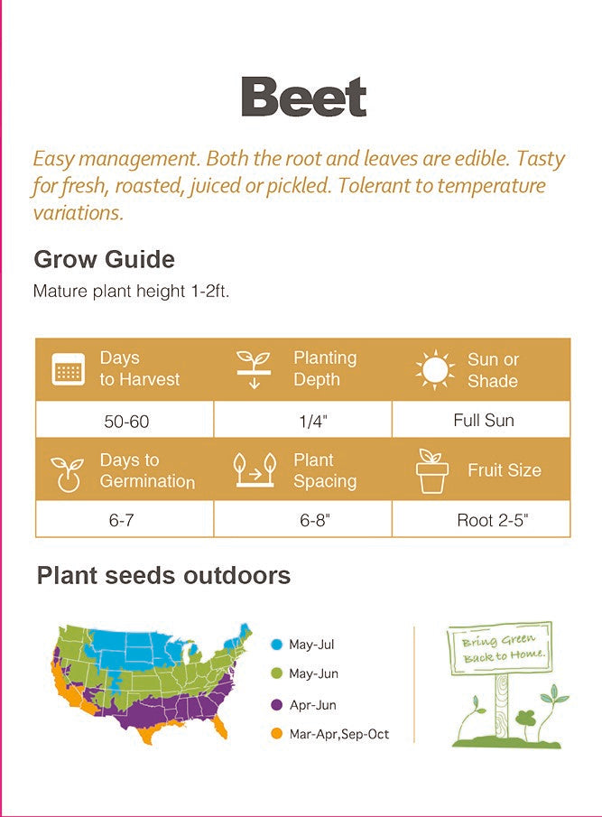 Beet Seeds Non-GMO Ruby Red Superfood Garden Vegetable