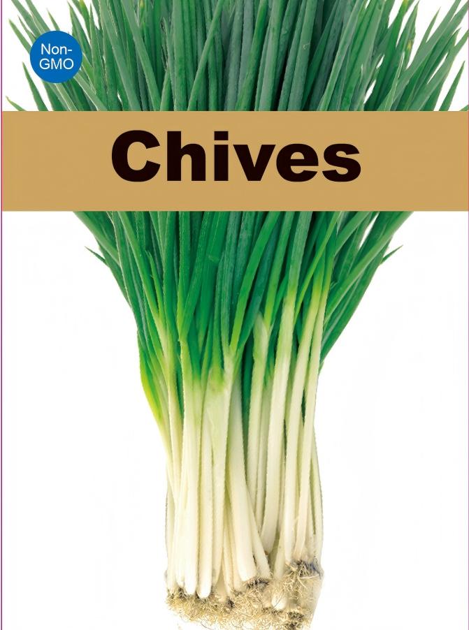 ATLAS Fresh Flavor Chives Seeds 200+  Non-GMO Kitchen Garden Herb