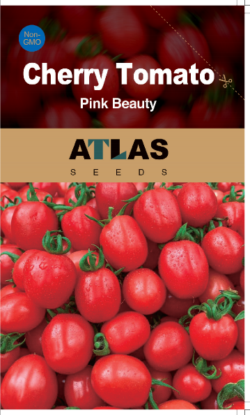 Super Sweet Pink Cherry Tomato Seeds 200+  Non-GMO Garden Snack Tomato
