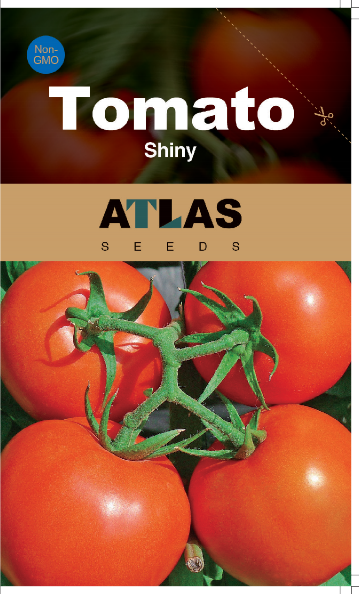 Giant Red Tomato Seeds 200+ Non-GMO Big Juicy High Yield Garden