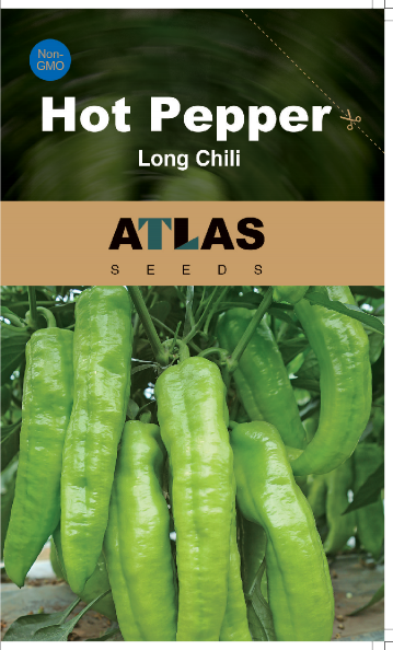 Long Green Chili Pepper Seeds 100+ Non-GMO Spicy High Yield Garden