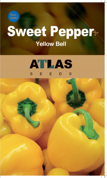Sweet Yellow Bell Pepper Seeds 50+ Non-GMO Crisp Flavor Garden Grow