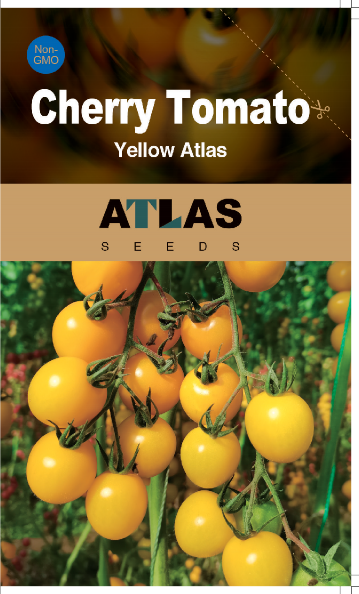 Golden Sweet Yellow Cherry Tomato Seeds 200+ Non-GMO Garden Snack Tomato