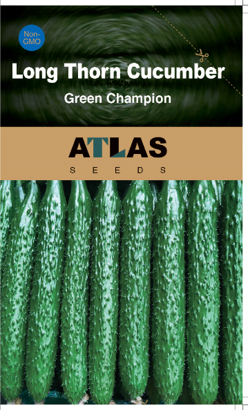 Cucumber Seeds Non-GMO Crisp Long Green Easy Grow Garden