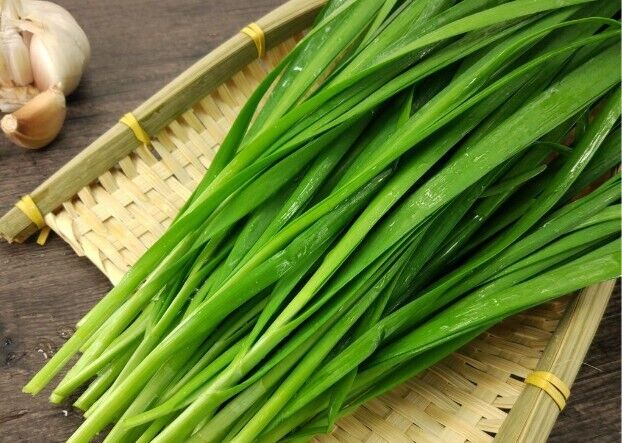 Garlic Chives Seeds Non-GMO Fast Growing Easy Garden