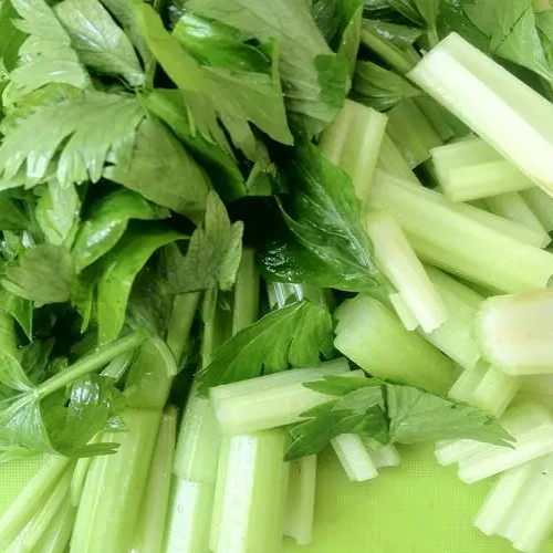 Celery Seeds 1000+ Tender Queen Non-GMO Crisp High Yield Easy Grow