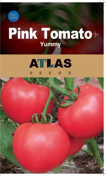 Sweet Pink Beefsteak Tomato Seeds – Non-GMO Heirloom Garden Tomato, 200+ Seeds