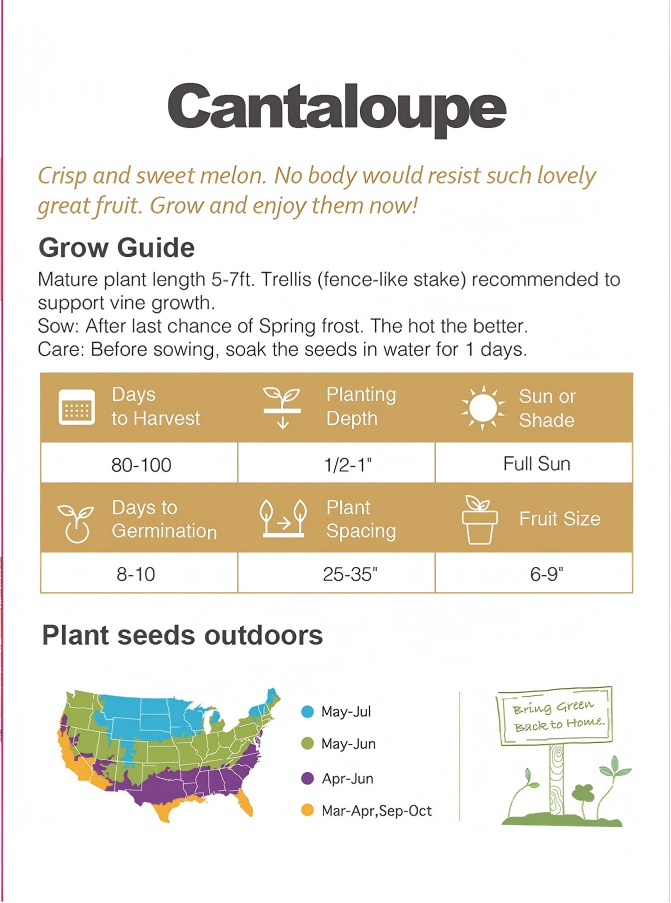 Sweet Cantaloupe Melon Seeds Non-GMO Juicy Easy Grow Garden