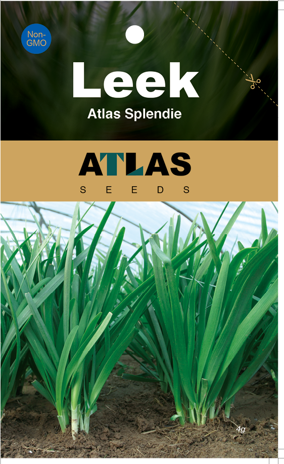 Garlic Chives Seeds Non-GMO Fast Growing Easy Garden
