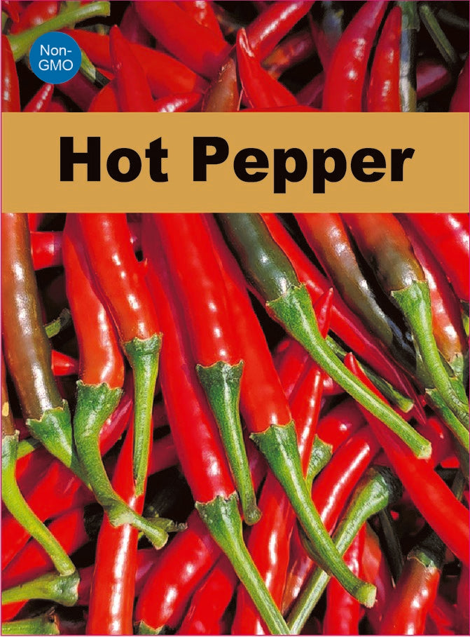 Upright Chili Pepper Seeds  Non-GMO Hot Pepper High Yield Garden