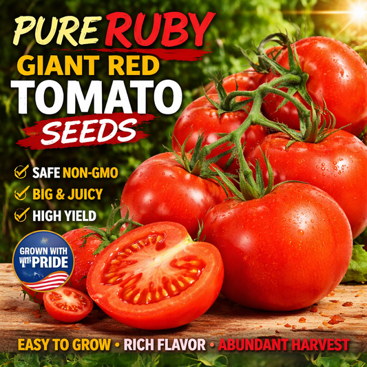 Giant Red Tomato Seeds 200+ Non-GMO Big Juicy High Yield Garden