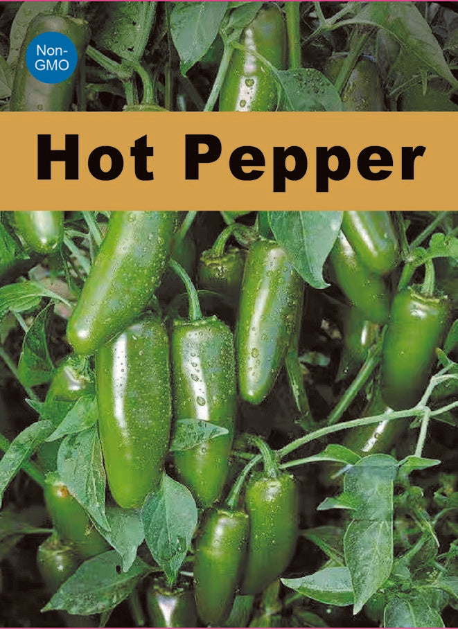 Jalapeno Pepper Seeds 150+ Non-GMO Hot Pepper Mexican Garden