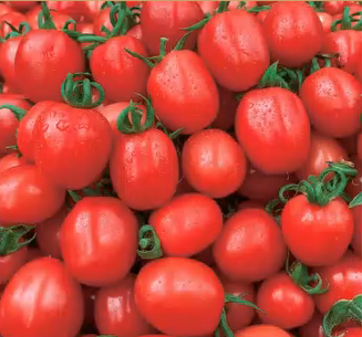 Salad Garden Seeds Kit 16 Varieties 10000+ Seeds Non-GMO Vegetable Mix