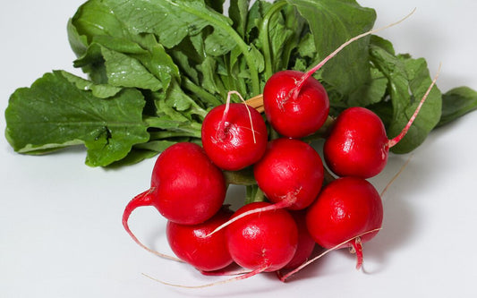 Cherry Radish Seeds