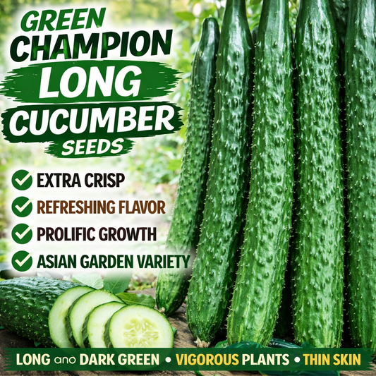 Cucumber Seeds Non-GMO Crisp Long Green Easy Grow Garden