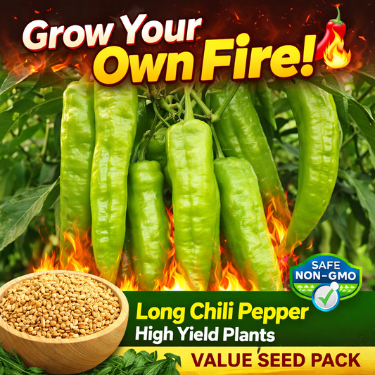 Long Green Chili Pepper Seeds 100+ Non-GMO Spicy High Yield Garden