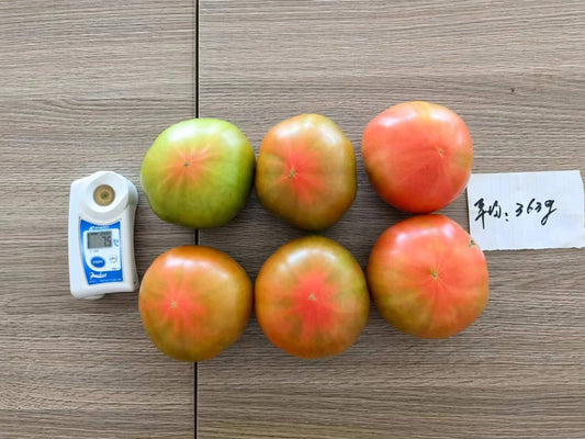 Ganlu 821 Premium-Flavour Tomato Seeds