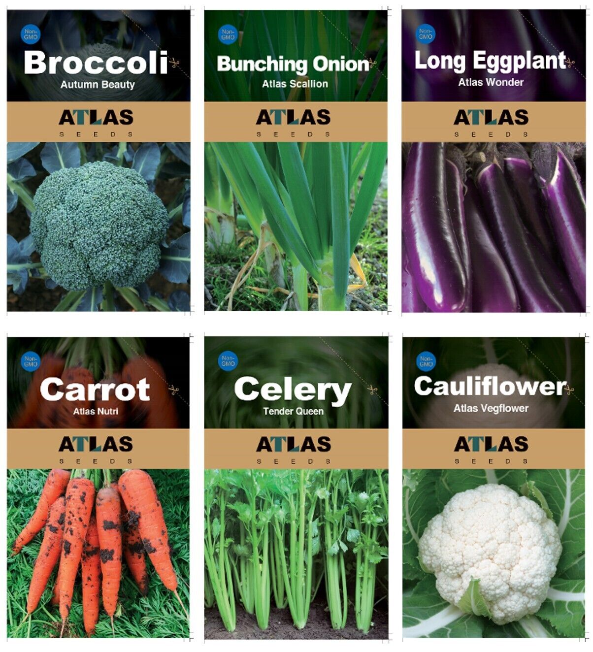 29 Varieties Atlas Vegetable Seeds Survival Garden Kit - Over 35000 Seeds