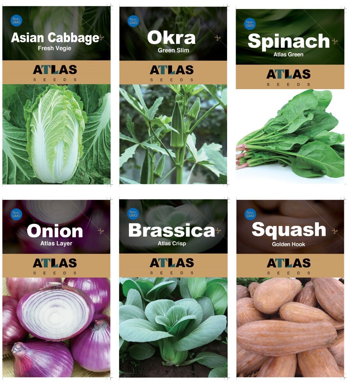 29 Varieties Atlas Vegetable Seeds Survival Garden Kit - Over 35000 Seeds