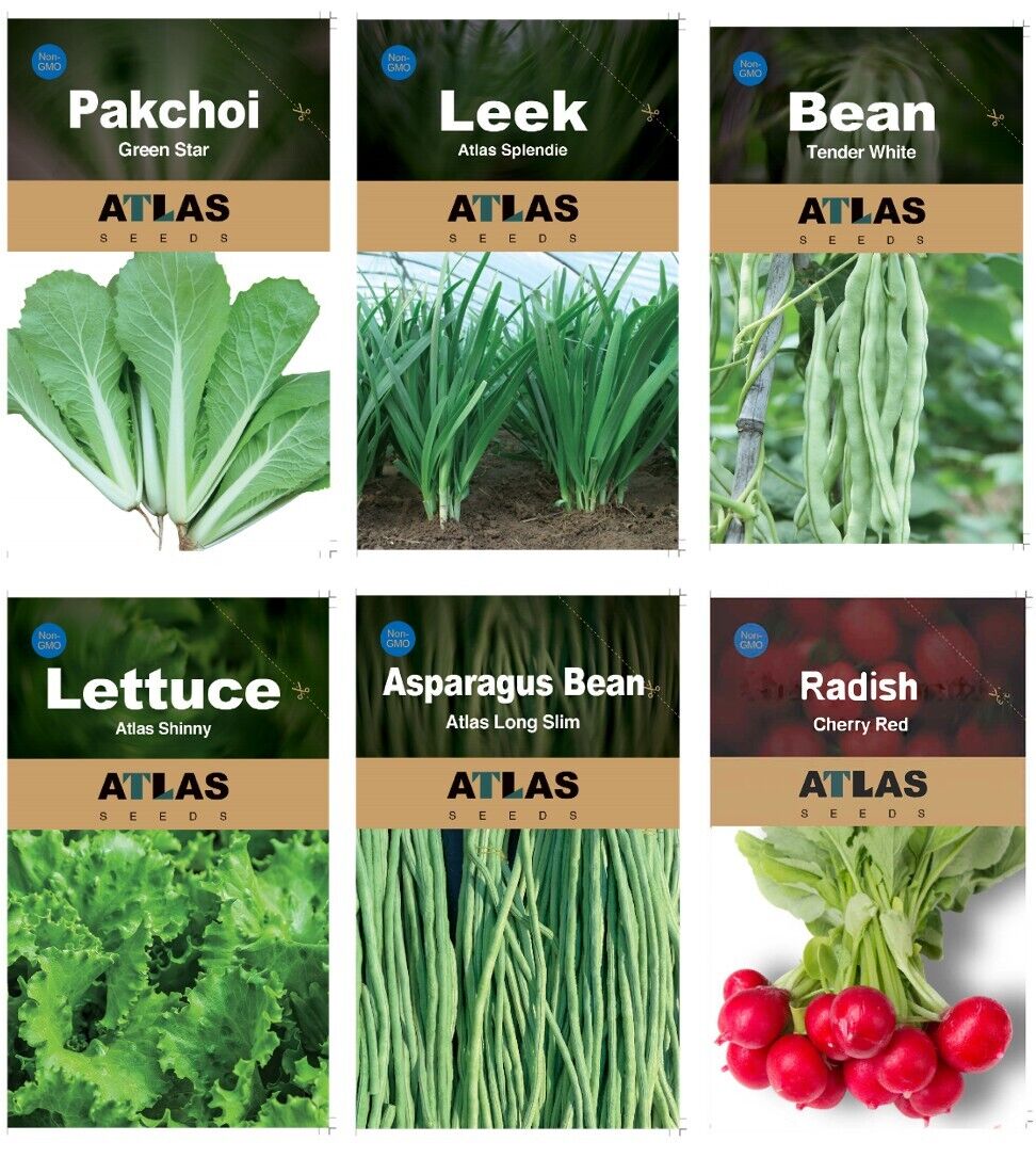 29 Varieties Atlas Vegetable Seeds Survival Garden Kit - Over 35000 Seeds