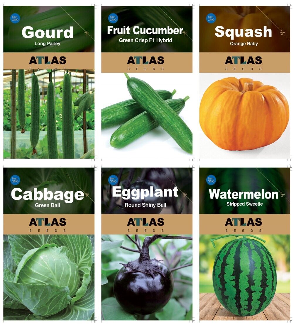 29 Varieties Atlas Vegetable Seeds Survival Garden Kit - Over 35000 Seeds