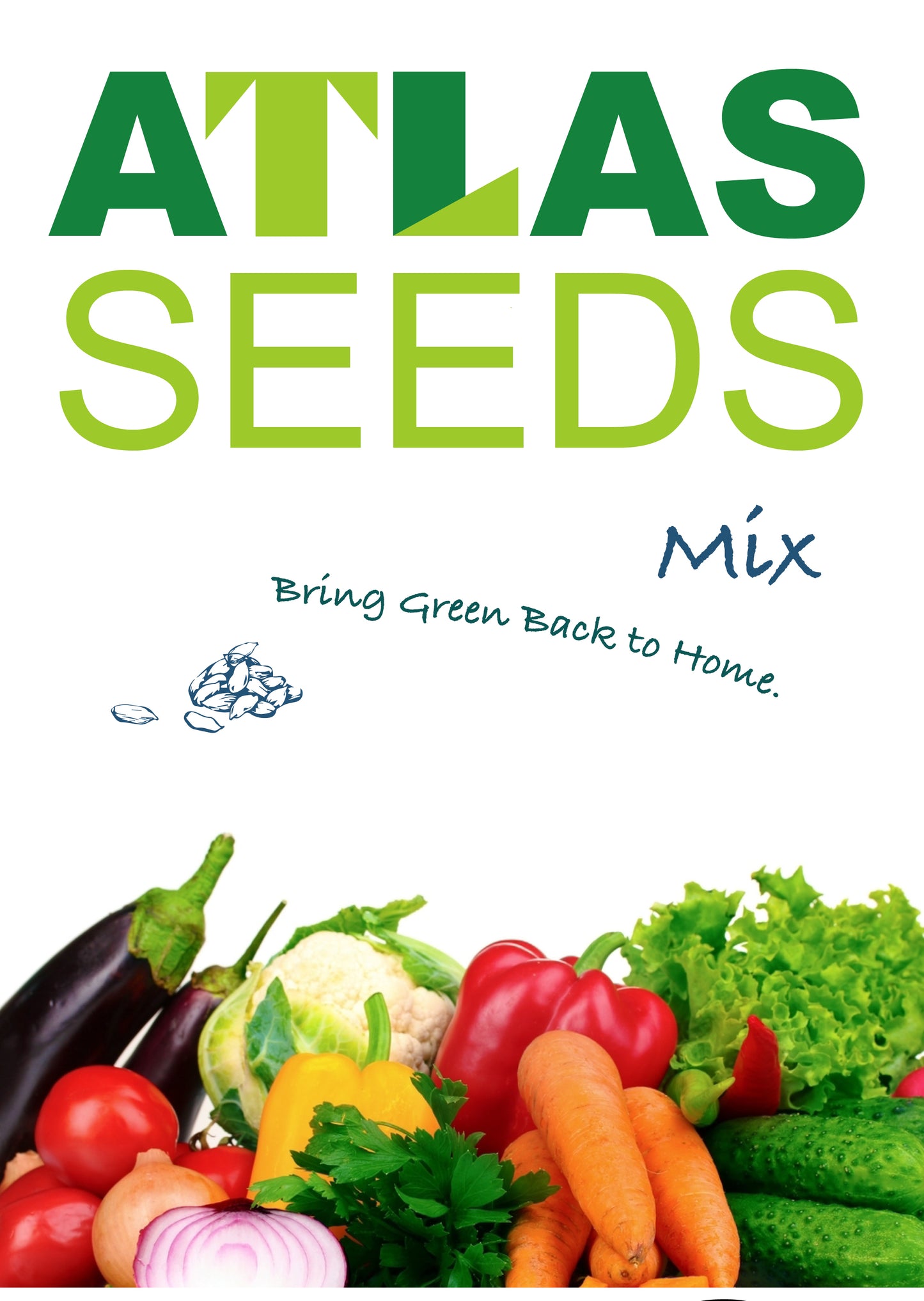 29 Varieties Atlas Vegetable Seeds Survival Garden Kit - Over 35000 Seeds