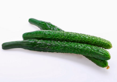 Yuexianaire Qiangsheng 511 Slicing Cucumber Seeds