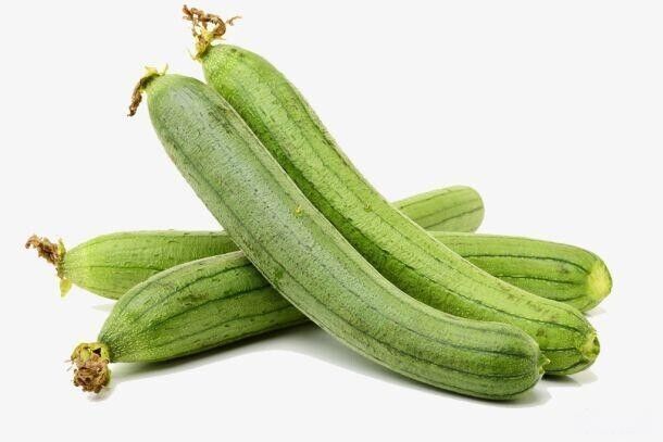 Luffa Gourd Seeds Non-GMO Long Smooth Sponge Gourd Easy Grow