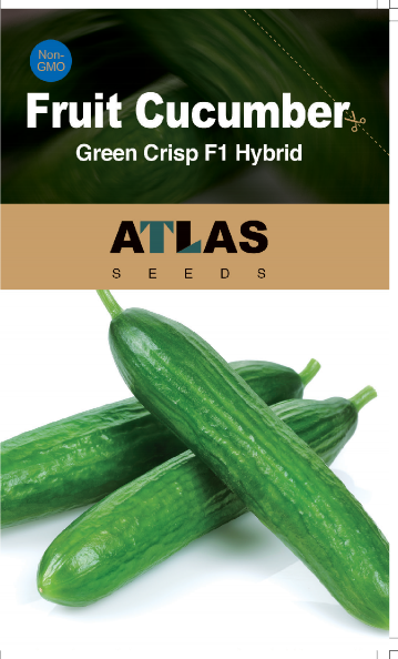 Emerald Crunch F1 Snack Cucumber Seeds Burpless Sweet High Yield