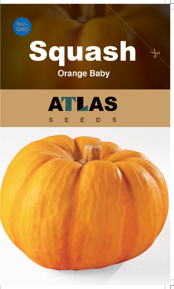 Honey Baby Pumpkin Seeds Mini Orange Sweet Non-GMO Easy Grow