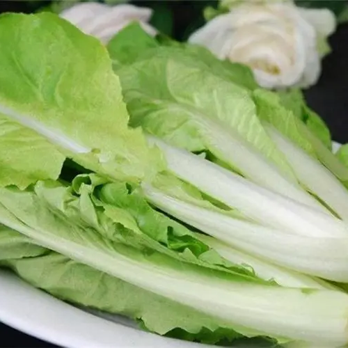 Green Star Pak Choi Seeds 300+ Non-GMO Sweet Crisp Fast Growing High Yield