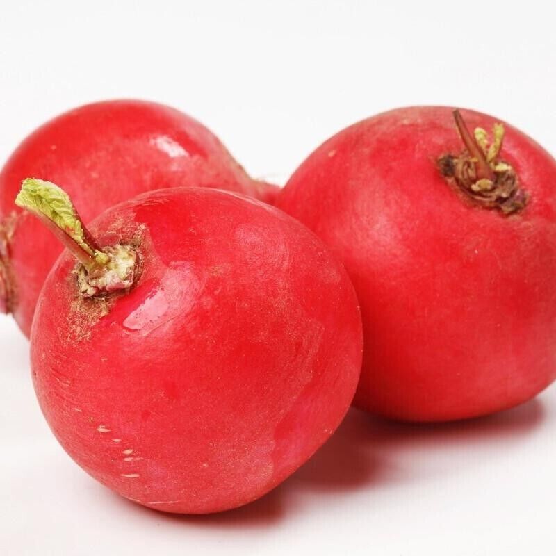 Ruby Crunch Radish Seeds Non-GMO Fast Growing Crisp Sweet