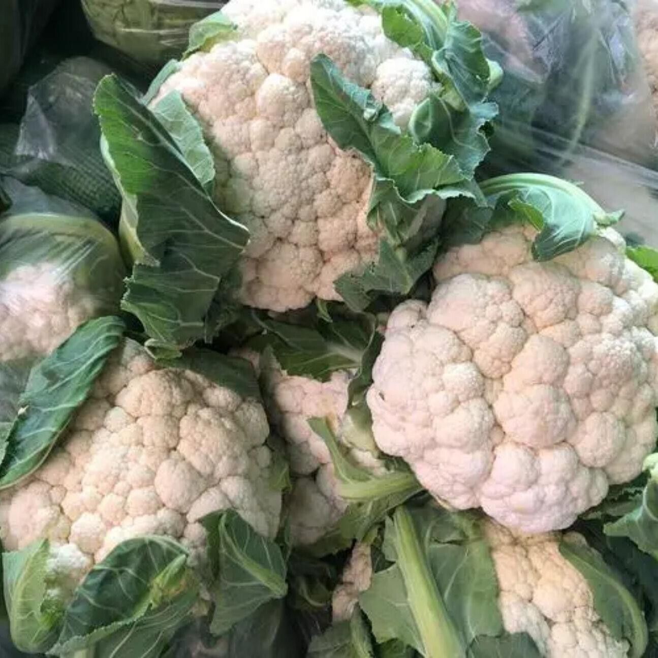 Cauliflower Seeds  Non-GMO Heirloom Large Head Easy Grow High Yield