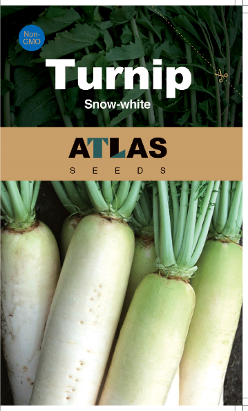 Snow Pearl Turnip Seeds Sweet White Non-GMO Easy Grow High Yield