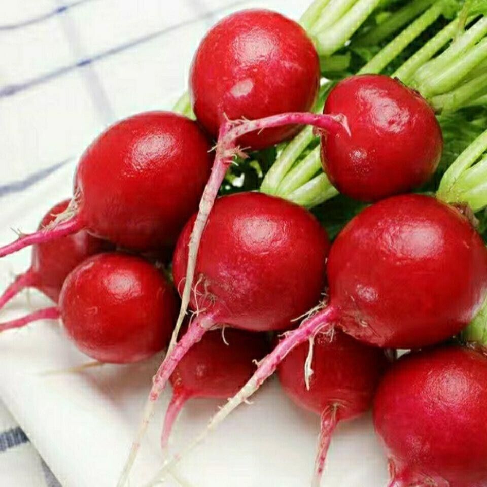 Ruby Crunch Radish Seeds Non-GMO Fast Growing Crisp Sweet