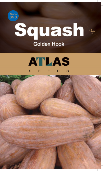 Butternut Squash Seeds Non-GMO Sweet High Yield Garden Favorite